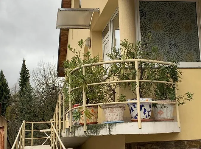 Apartmán u Doktora