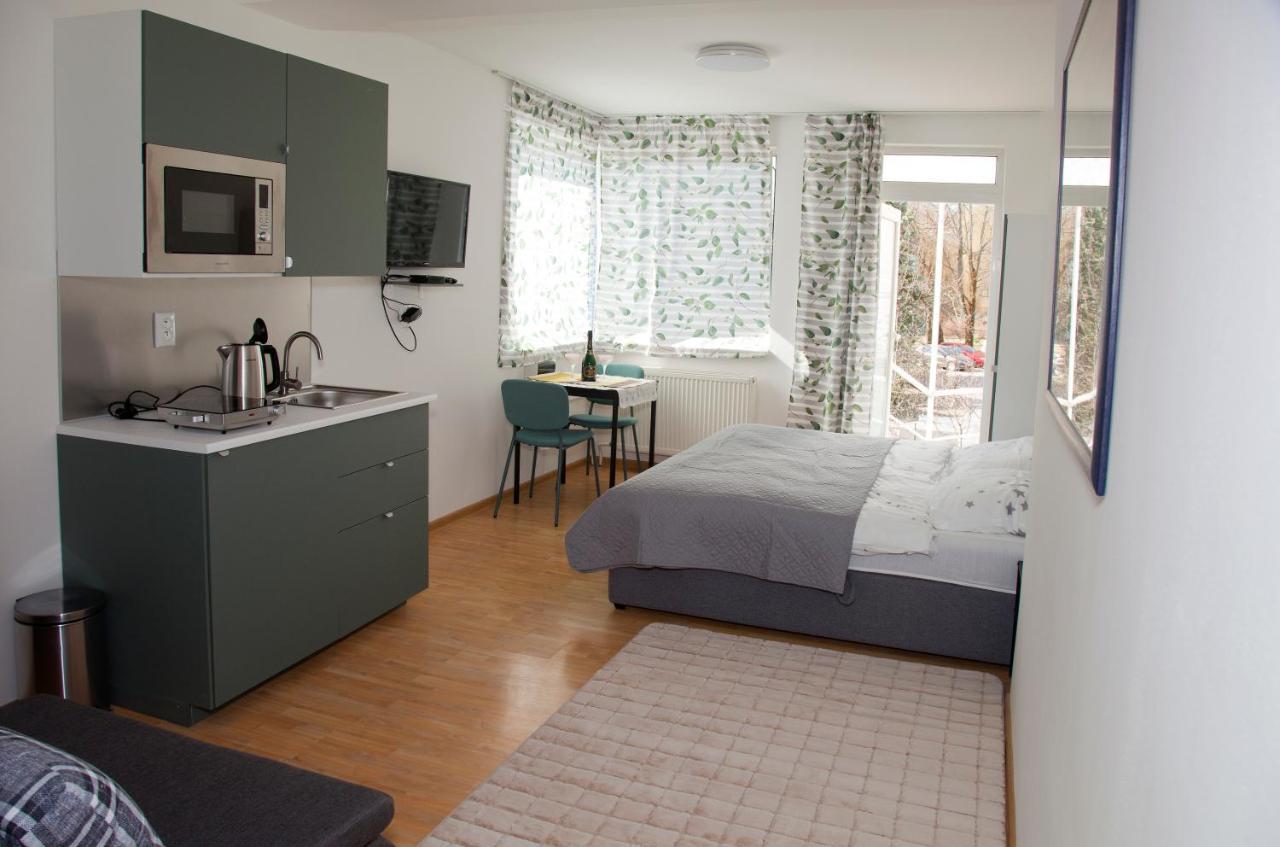 Apartment U Doktora *